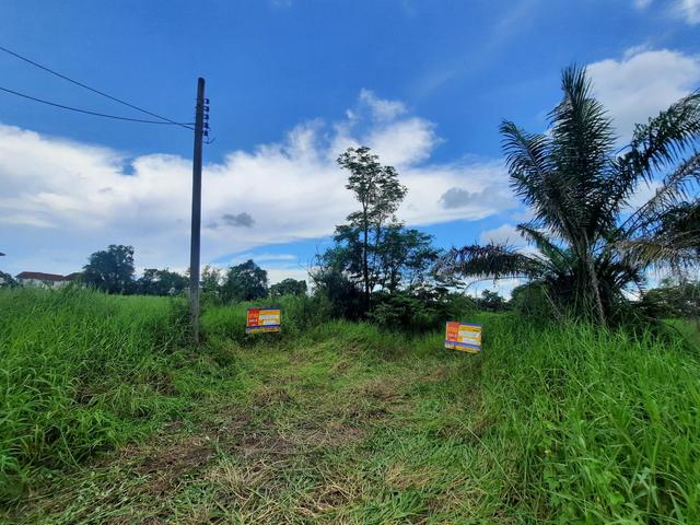 💟 ที่ดินเปล่า โครงการฉลองกรุงริเวอร์วิลล์ รีสอร์ท หนองจอก 💟 รูปที่ 3