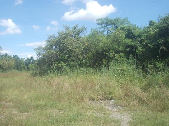 āđāļāđ ð āļāļĩāđāļāļīāļāđāļāļĨāđāļē āļāļāļīāļāļāļĢāđāļāļļāļĢāļĩ āļāļĢāļēāļāļĩāļāļāļļāļĢāļĩ ð āļĢāļđāļāļāļĩāđ 3