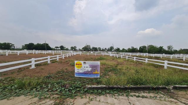 ใช่ 💟 ที่ดินเปล่า โครงการอยุธยาวังทอง 💟 รูปที่ 2