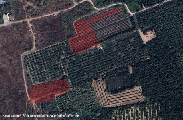 ใช่ 💟 ที่ดินเปล่า โครงการปลาทิว ราชบุรี 💟 รูปที่ 2