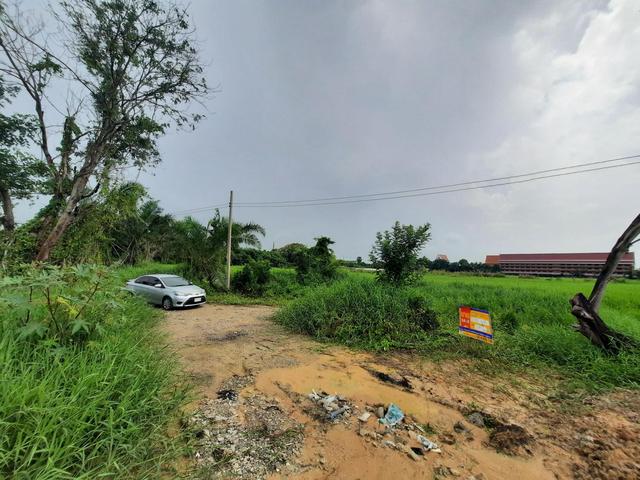 💟 ที่ดินเปล่า โครงการฉลองกรุงริเวอร์วิลล์ รีสอร์ท หนองจอก 💟 รูปที่ 3