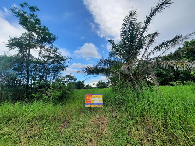 💟 ที่ดินเปล่า โครงการฉลองกรุงริเวอร์วิลล์ รีสอร์ท หนองจอก 💟