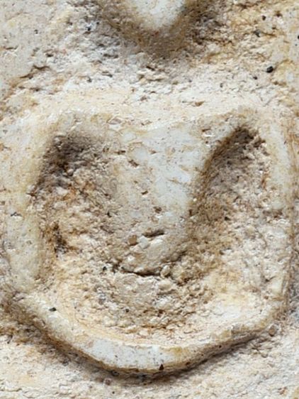 เปิดกรุ ให้เช่าบูชา พระบ้านของบรรพบุรุษ พระสมเด็จวัดระฆัง พิมพ์ใหญ่  มีมวลสาร รูปที่ 8