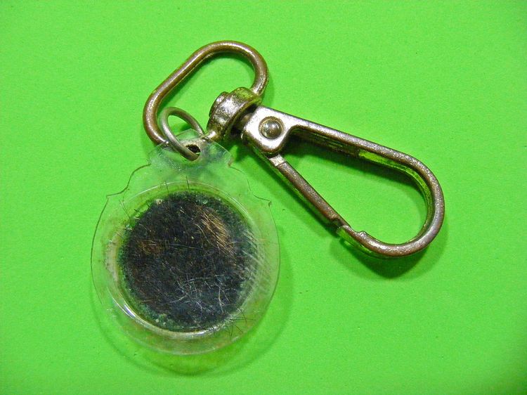 เครื่องราง มหาเสน่ห์ มหาอำนาจ รูปที่ 11