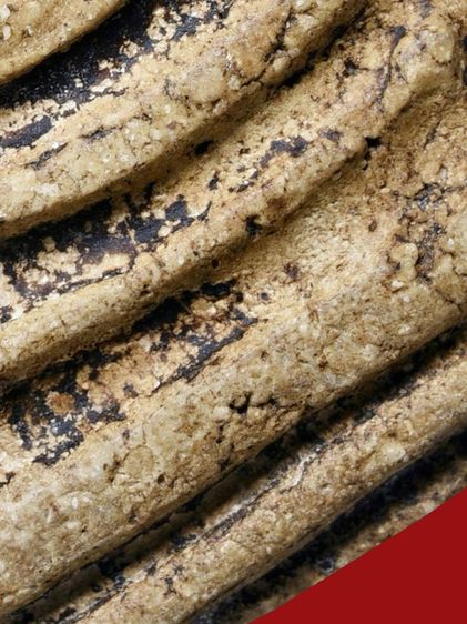 องค์ครู-ให้เช่าบูชา สมบัติบ้าน พระเบญจภาคี พระสมเด็จวัดระฆัง พิมพ์เจดีย์เอียง เนื้อเก่า รักรา รูปที่ 5