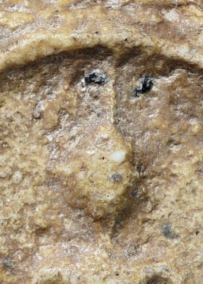 เนื้อแกร่ง ธรรมชาติ พระสมเด็จวัดระฆัง พิมพ์ใหญ่ เก่า รูปที่ 6