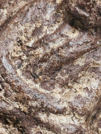 ✅เนื้อแห้ง คราบน้ำว่าน เก่ามาก ให้เช่าบูชา พระบ้าน พระหลวงปู่ทวด เนื้อว่าน ปี 2497 พิมพ์ใหญ่  รูปที่ 16