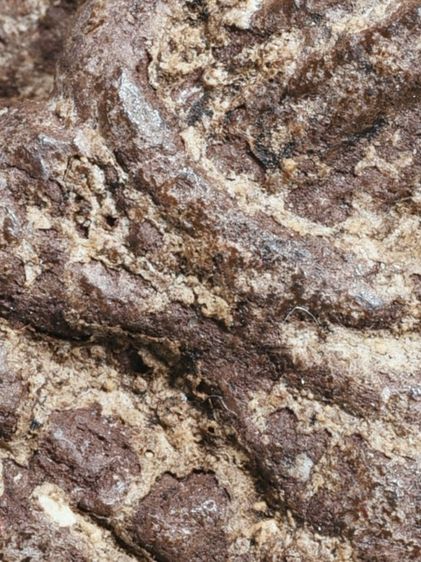 ✅เนื้อแห้ง คราบน้ำว่าน เก่ามาก ให้เช่าบูชา พระบ้าน พระหลวงปู่ทวด เนื้อว่าน ปี 2497 พิมพ์ใหญ่  รูปที่ 17