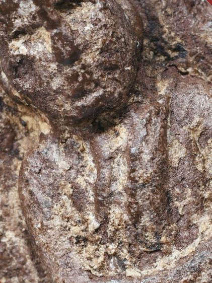 ✅เนื้อแห้ง คราบน้ำว่าน เก่ามาก ให้เช่าบูชา พระบ้าน พระหลวงปู่ทวด เนื้อว่าน ปี 2497 พิมพ์ใหญ่  รูปที่ 2