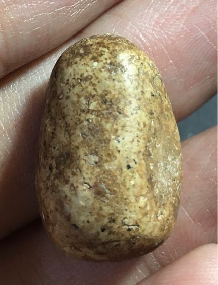 พระพิมพ์ วัดพลับ รูปที่ 5