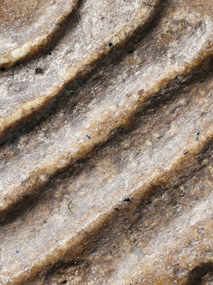 ให้เช่ามรดกบ้าน พระสมเด็จวัดระฆัง พิมพ์ใหญ่ สภาพใช้ มีมวลสาร เก่า รูปที่ 4