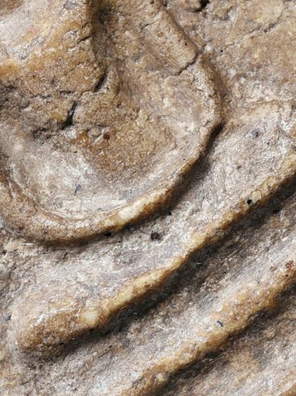 ให้เช่ามรดกบ้าน พระสมเด็จวัดระฆัง พิมพ์ใหญ่ สภาพใช้ มีมวลสาร เก่า รูปที่ 3