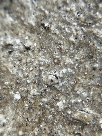 พระสมเด็จวัดระฆังพิมพ์ใหญ่เกศทะลุเห็นมลสารเม็ดสีเต็มองค์ สวยๆมีองค์เดียวค่ะ รูปที่ 11