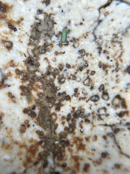 พระสมเด็จพิมพ์ใหญ่ รูปที่ 14