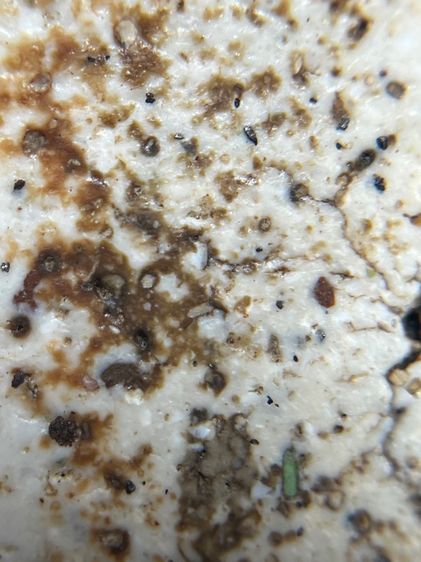 พระสมเด็จพิมพ์ใหญ่ รูปที่ 15