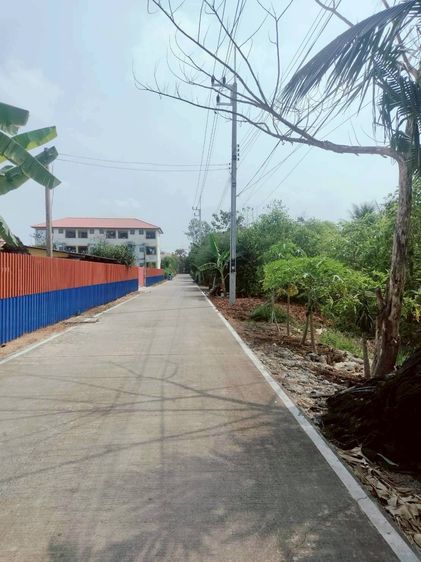 ขายด่วนที่ดิน 691 ตรว ติดถนนคอนกรีตสาธารณะ ซ.คลองสาม12-13 คลองหลวง ปทุมธานี   รูปที่ 4