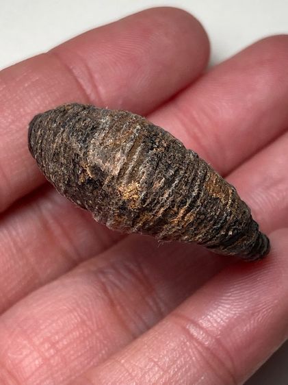 แหวนพิรอด รูปที่ 3