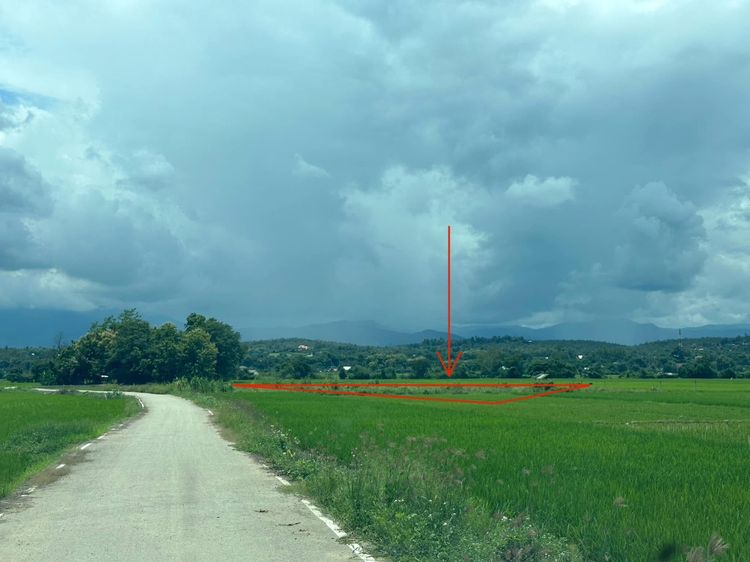 ที่นา 2ไร่38 ตรว. ต.ขี้เหล็ก อ.แม่ริม  รูปที่ 3