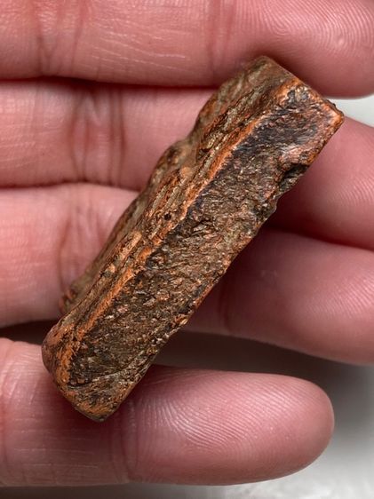 พระลีลาคู่เนื้อดิน รูปที่ 4