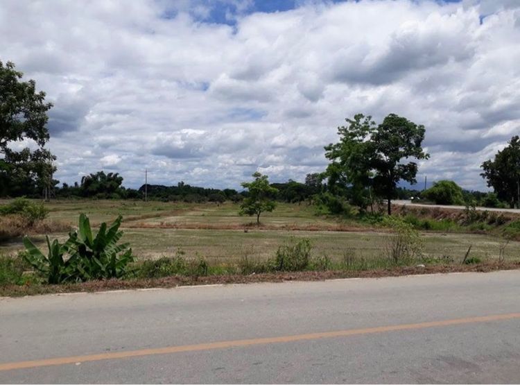 ขายที่ดินแปลงใหญ่ อ.สันกำแพง จ.เชียงใหม่ พื้นที่ 49 ไร่ 1 งาน 31 ตารางวา