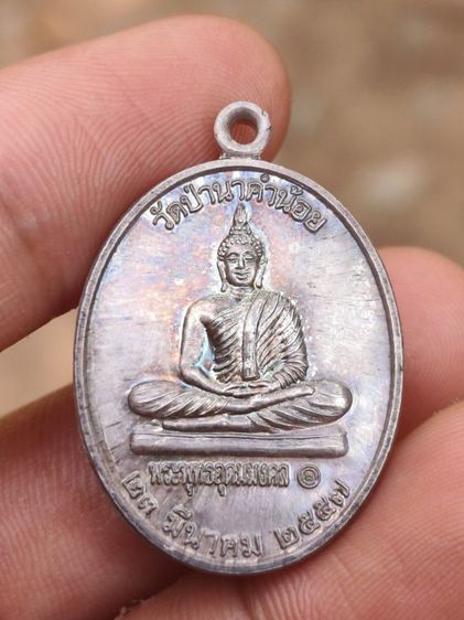 เหรียญวัดป่านาคำน้อย