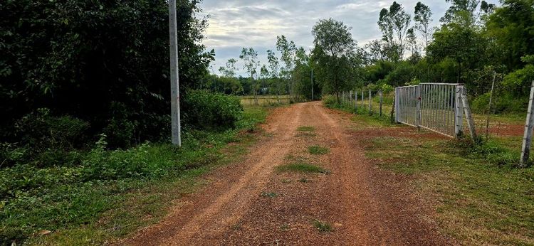 ที่โฉนด เนื้อที่ 2 งาน 43 ตารางวา ยกแปลง 250,000 บาท ที่สวยบรรยากาศดี รูปที่ 4