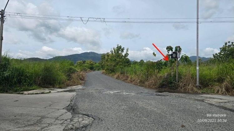 ขายที่ดินหนองช้ำซากบ้านบึงชลบุรี11ไร่