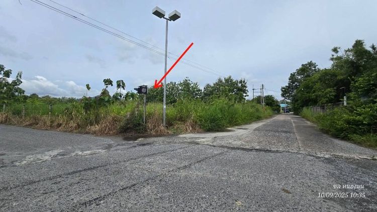 ขายที่ดินหนองช้ำซากบ้านบึงชลบุรี11ไร่ รูปที่ 2