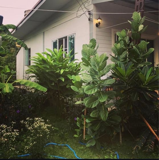 ตกแต่งครบ 2018 บ้านเดี่ยวชั้นเดียว รูปที่ 2