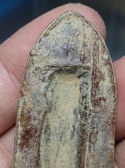  พระร่วงหลังรางปืนสนิมแดง กรุวัดพระศรีรัตนมหาธาตุ(เมืองเชลียง)จังหวัดสุโขทัย
    ได้บ้านมาค่ะ รูปที่ 11