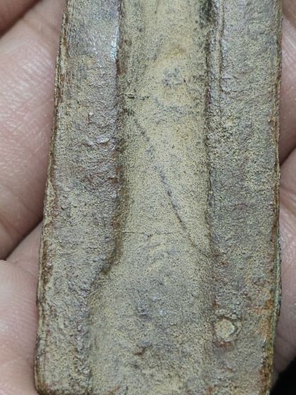  พระร่วงหลังรางปืนสนิมแดง กรุวัดพระศรีรัตนมหาธาตุ(เมืองเชลียง)จังหวัดสุโขทัย
    ได้บ้านมาค่ะ รูปที่ 10