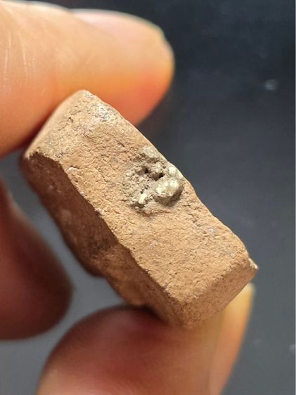 หลวงพ่อปาน รูปที่ 3