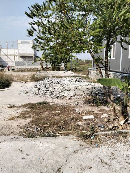 ใช่ ที่ดิน รูปที่ 2