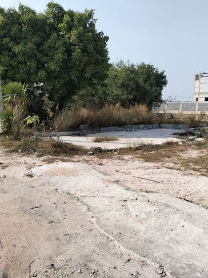 ใช่ ที่ดิน รูปที่ 4