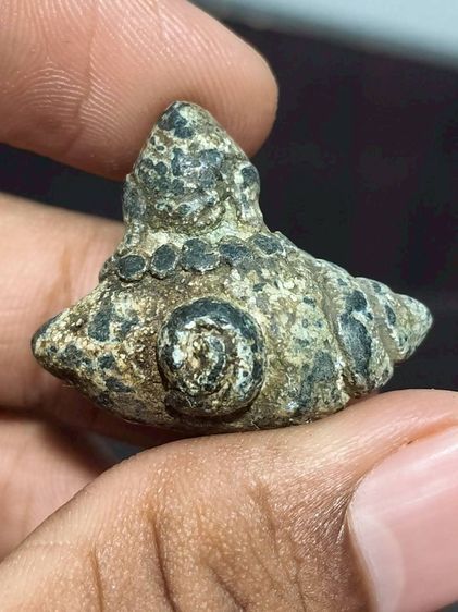 อุปคุตเนื้อออกชินเขียว รูปที่ 2