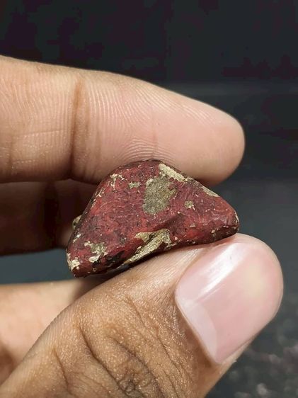 ฤาษีไม้แกะไม่ทราบที่ รูปที่ 6