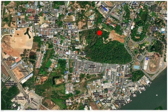 ขายที่ดิน ใจกลางเมืองกระบี่   รูปที่ 4