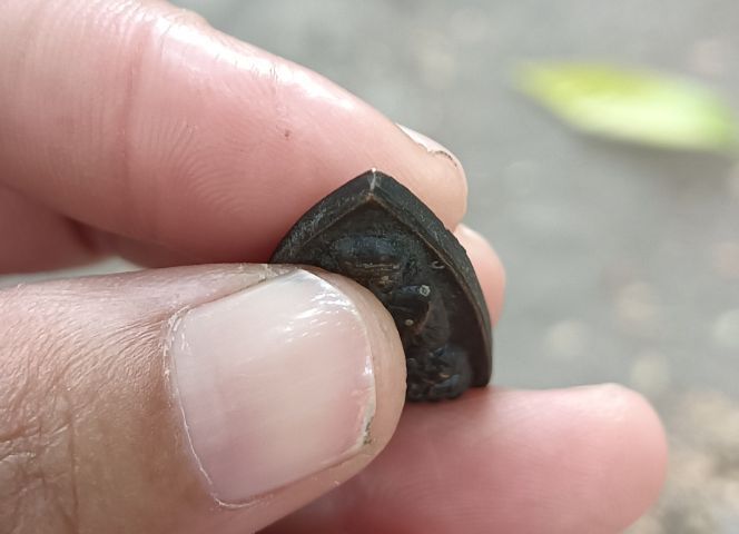 พระสีดำ 1 องค์ รูปที่ 5