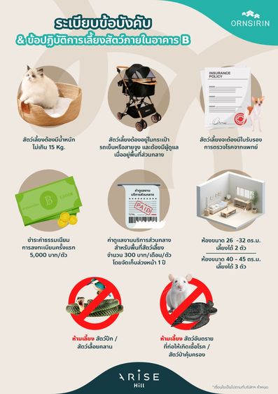 อื่นๆ เลี้ยงสัตว์ได้ ตกแต่งครบ 2026 Arise Hill รูปที่ 2