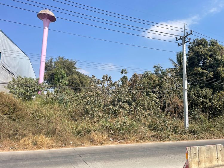 ขายที่ดินติดถนนใหญ่ติดโรงงานแปลงรูปอาหารAPM agro  ใกล้สวนรุกชาติถ้ำจอมพล จอมบึงราชบุรี เนื้อที่ 30 ไร่กว่าขายไร่ละ1ล้านบาท  รูปที่ 2