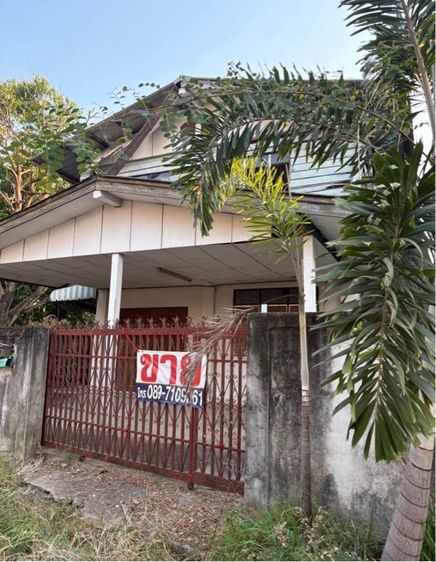 ใช่ ขายที่ดิน พร้อมสิ่งปลูกสร้าง พื้นที่ 50 ตารางวา 🏡  รูปที่ 2