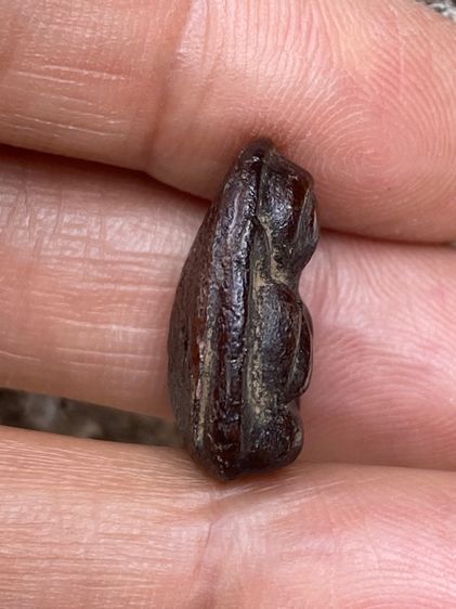 พระปิดตาหลวงปู่แก้ว รูปที่ 3