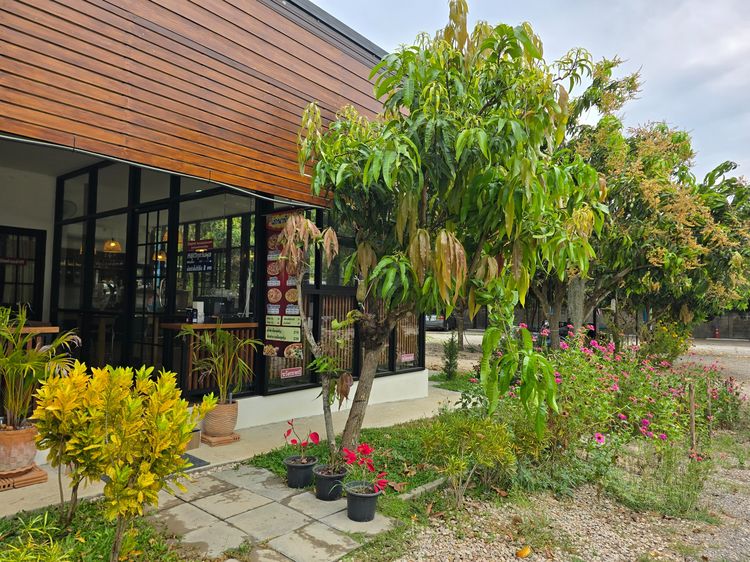 ตกแต่งครบ 2025 เกสต์เฮาส์ อ.เสริมงาม จ.ลำปางพร้อมร้านกาแฟ รูปที่ 3