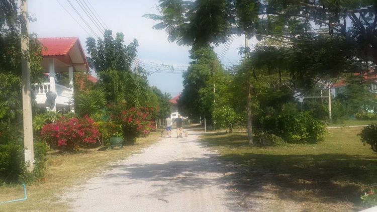 ใช่ ขาย ที่ ดิน เพชรบุรี หมู่ บ้าน ชะอำ โกลเด้นบีช รูปที่ 3