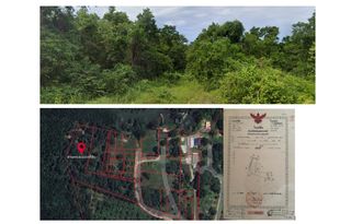 ที่ดินเกาะคอเขา ติดลำคลองป่าโกงกาง