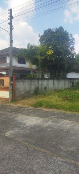 ใช่ ฟ้าปะทานที่ดินทำเลสวย รูปที่ 2