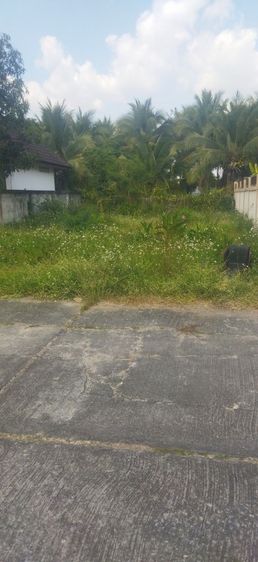 ใช่ ฟ้าปะทานที่ดินทำเลสวย รูปที่ 4