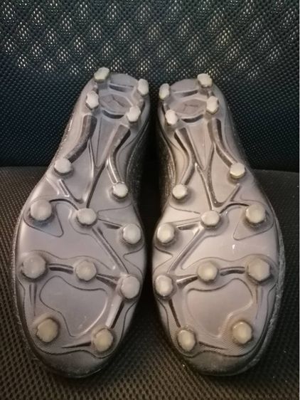 สตั๊ด พูม่า รูปที่ 5