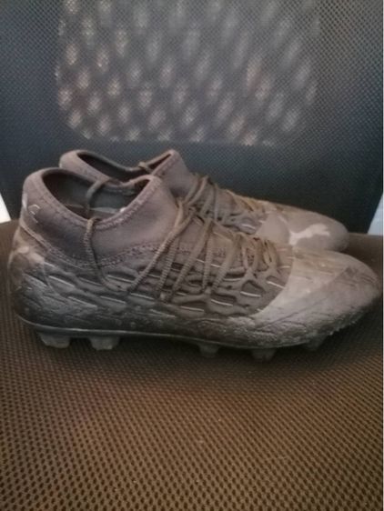 สตั๊ด พูม่า รูปที่ 4