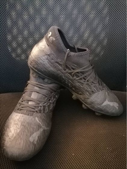 สตั๊ด พูม่า